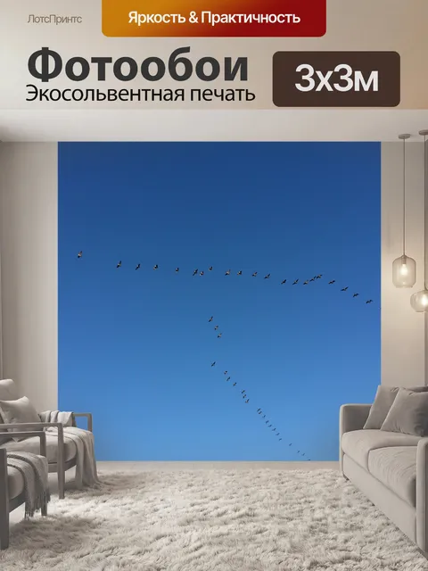 Фотообои Гуси