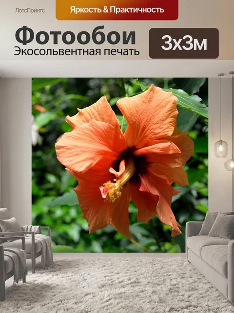 Фотообои Флора