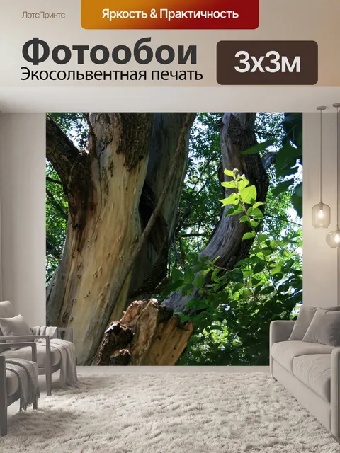 Фотообои большой багажник на дереве