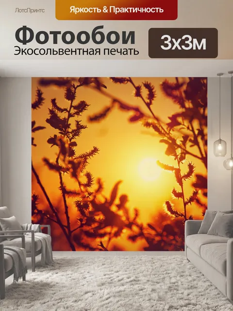 Фотообои Свет ветвей заката