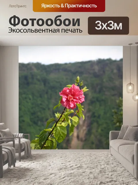 Фотообои Гвоздика