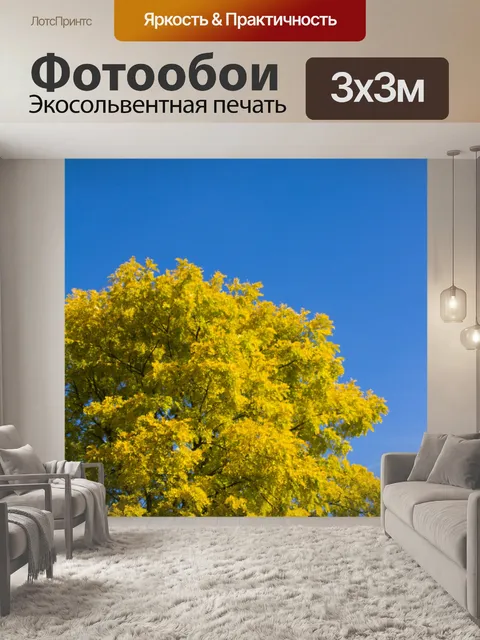 Фотообои Дерево