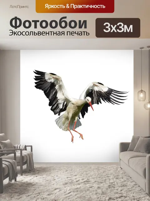 Фотообои Аист
