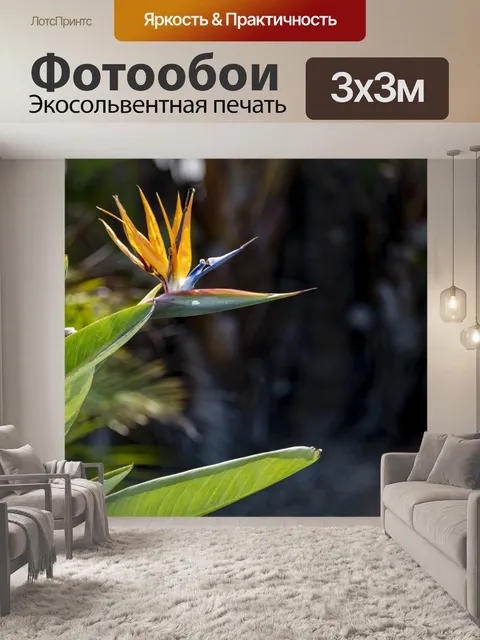 Фотообои Райская птица цветок