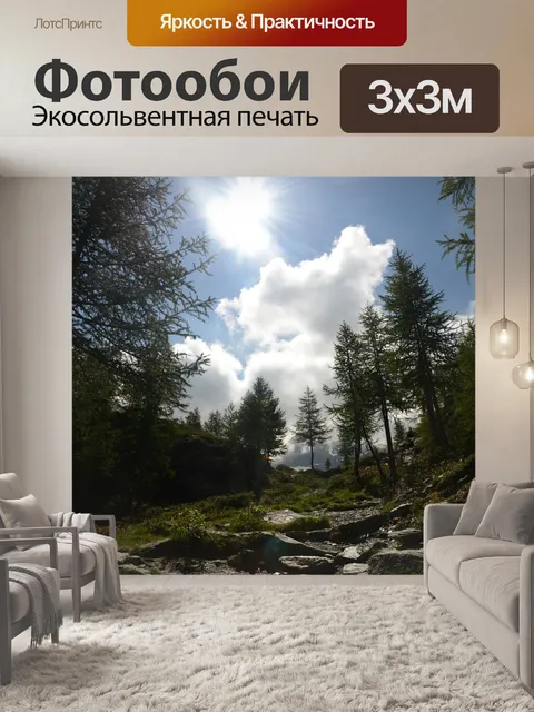Фотообои Лес