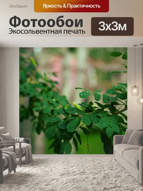 Фотообои Листья