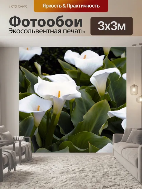 Фотообои Сад из белых лилий