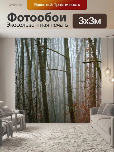 Фотообои Лес