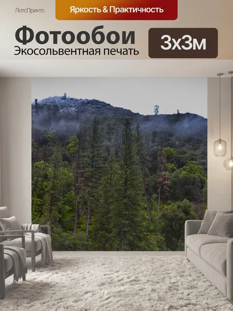 Фотообои Горный склон Йосемиты