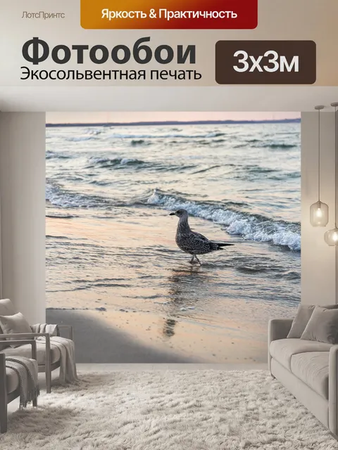 Фотообои Серебристой чайки