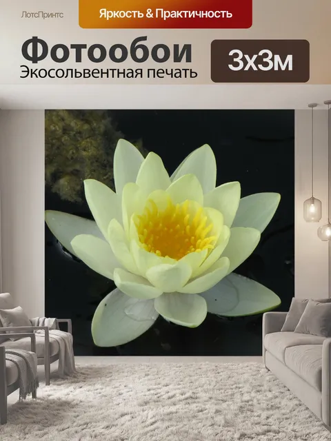 Фотообои Цветы