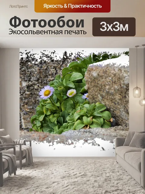 Фотообои Растительность океана
