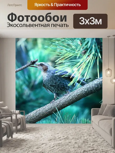 Фотообои Птицы