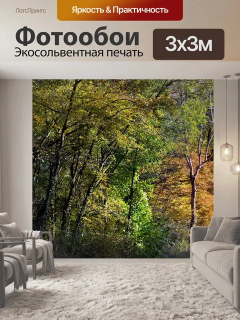 Фотообои Лес