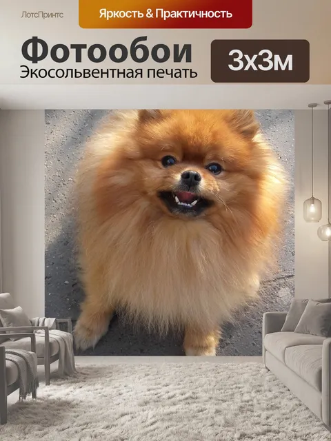 Фотообои Собака