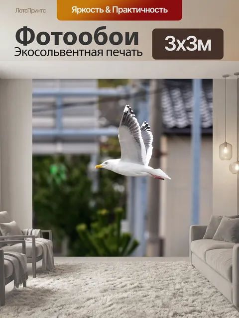 Фотообои Животное