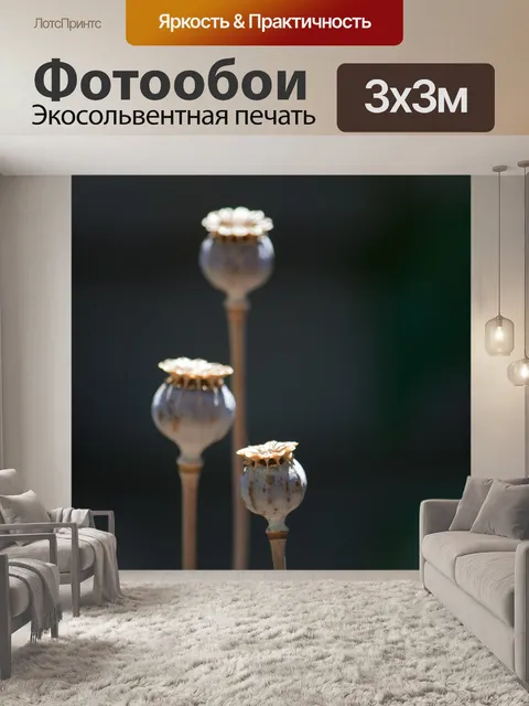 Фотообои вид солнечного света на сухих семенных к