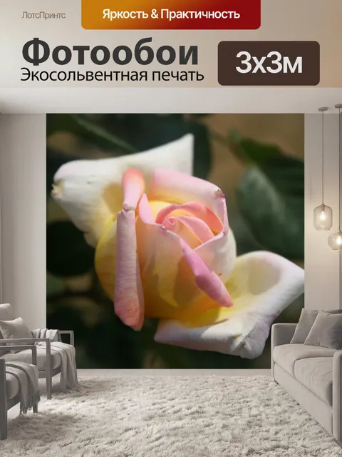 Фотообои цветущие розы