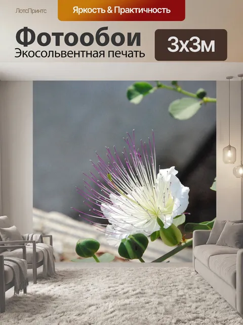 Фотообои Растения