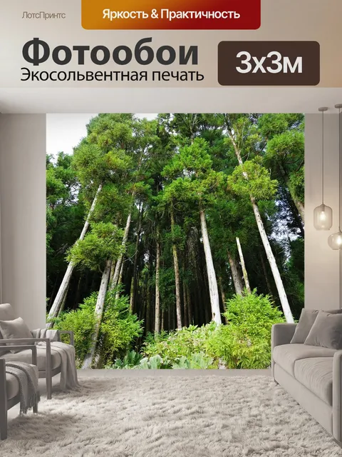 Фотообои Лес