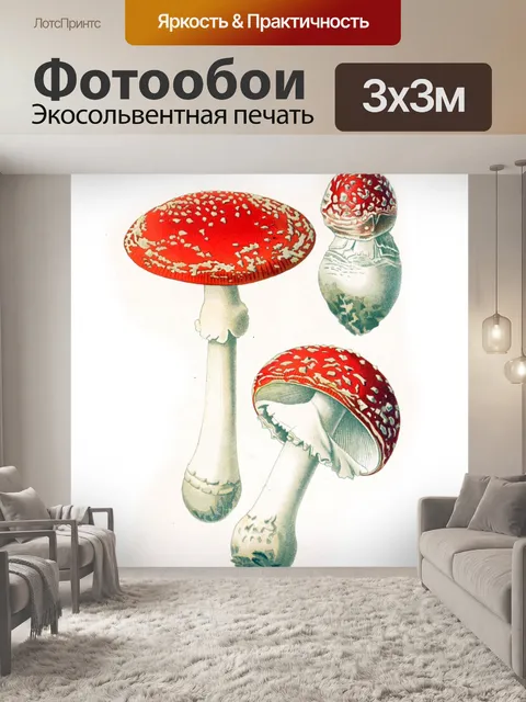 Фотообои Грибы век винтаж старый