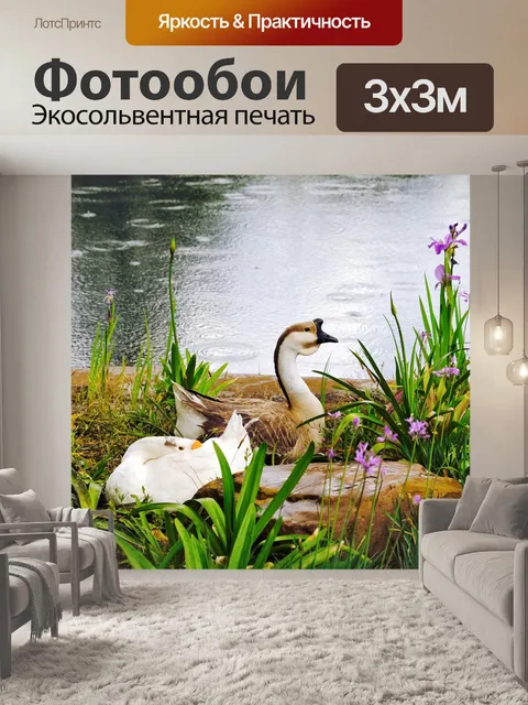 Фотообои Гусь
