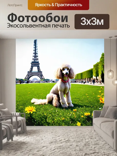 Фотообои в центре композиции находится грациозный французский пудель