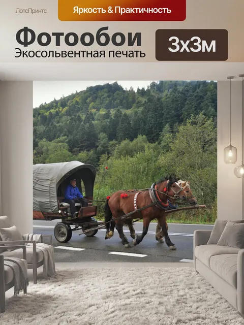 Фотообои Конном экипаже