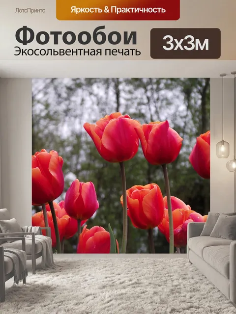Фотообои Цветы
