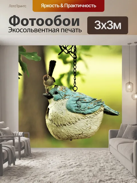 Фотообои Каролина Рен на крыше птичьего дома