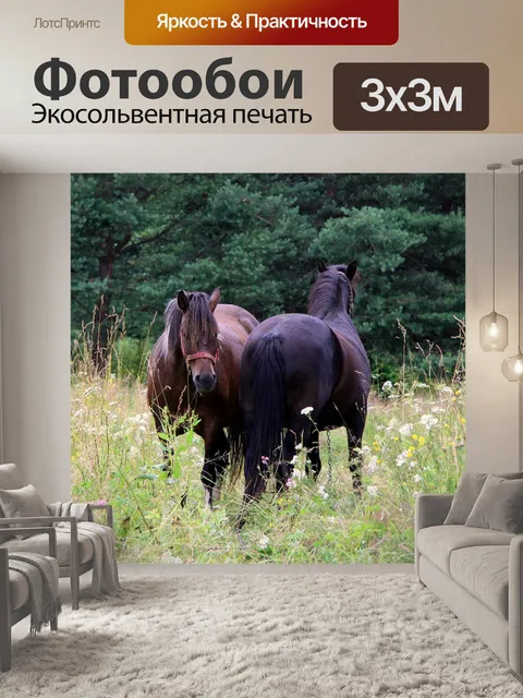 Фотообои Лошади
