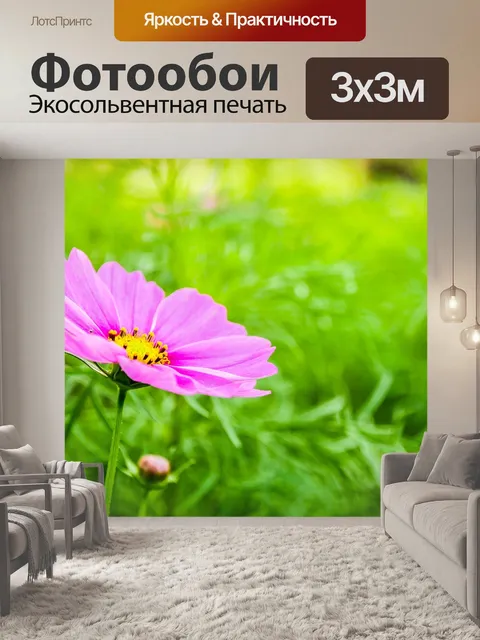Фотообои Цветок