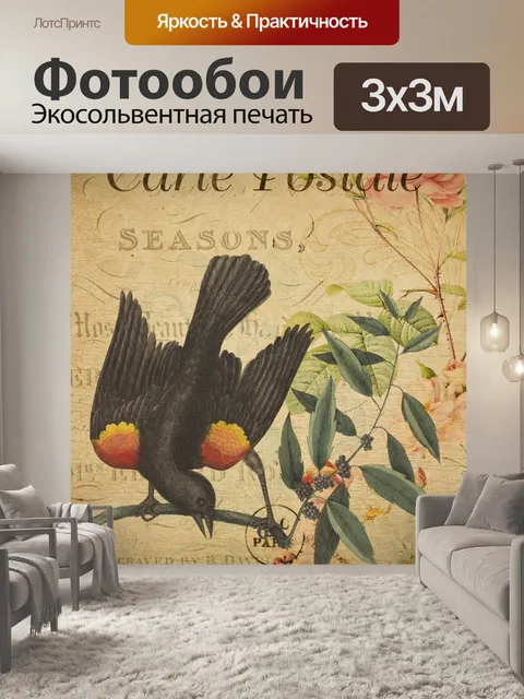 Фотообои Винтажная открытка птица скворец