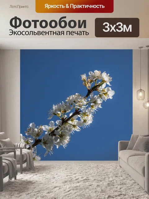 Фотообои Цветок