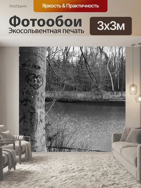 Фотообои Деревья