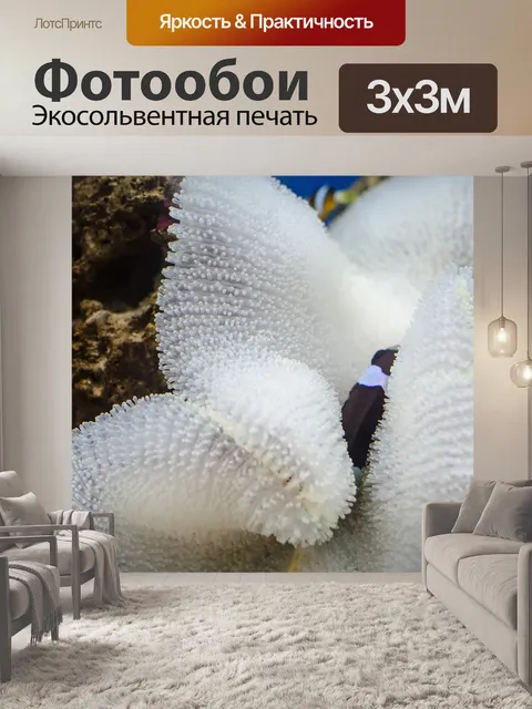 Фотообои Океан