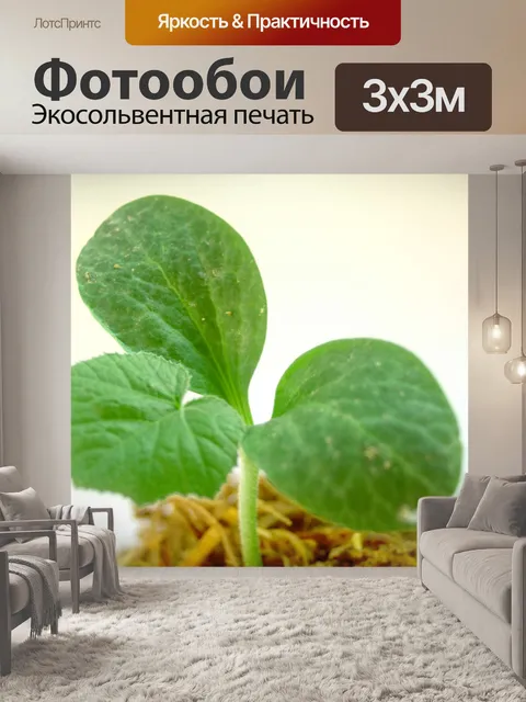 Фотообои Молодое дерево