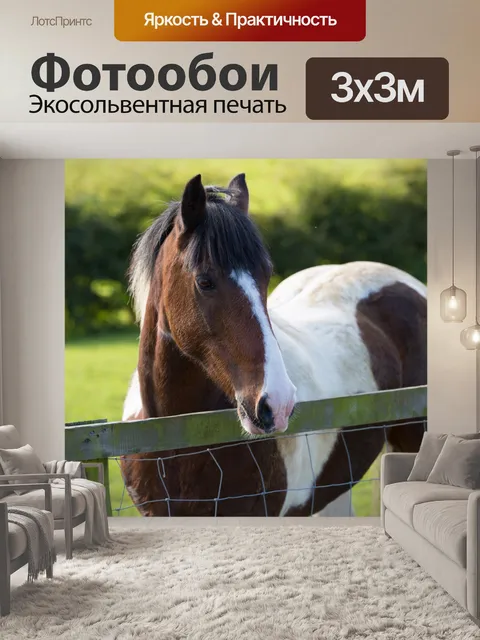 Фотообои лошадь