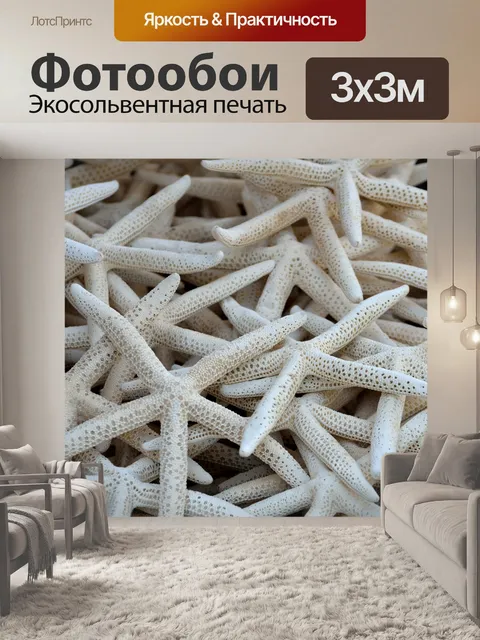 Фотообои Морская звезда