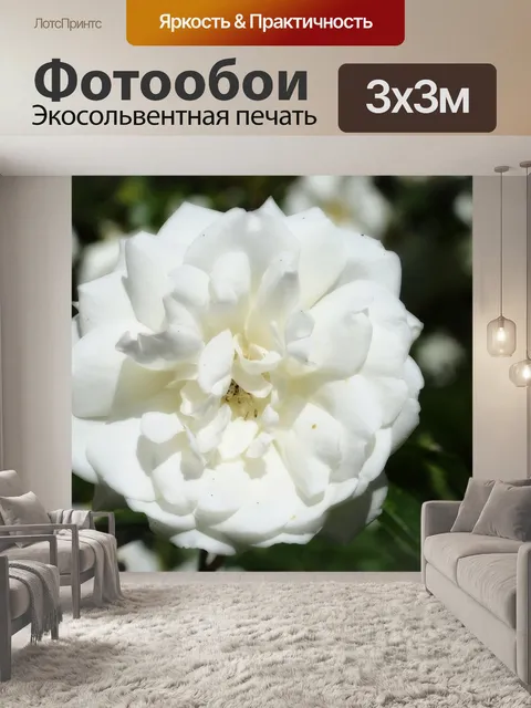 Фотообои Розовый