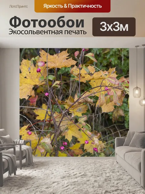 Фотообои Аутум в ботаническом саду
