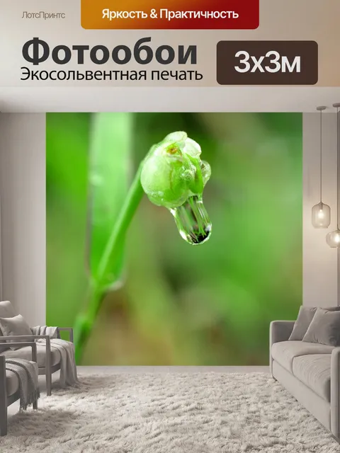 Фотообои Капля воды на листе