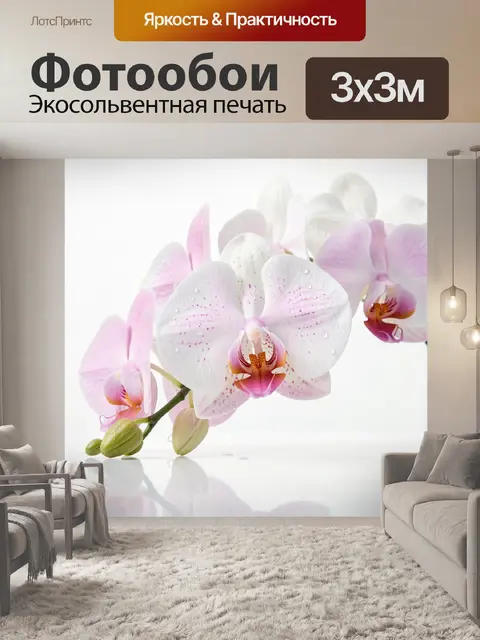 Фотообои Розовая орхидея с каплями росы