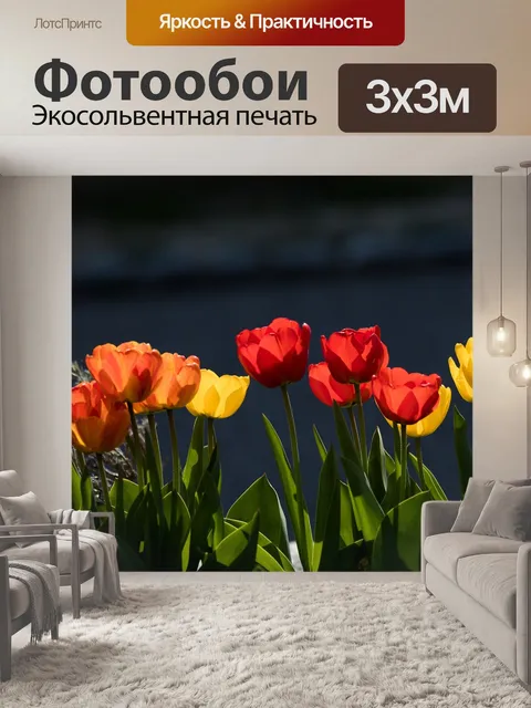 Фотообои Тюльпаны