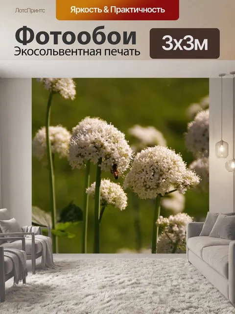 Фотообои Цветы