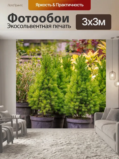 Фотообои Сад