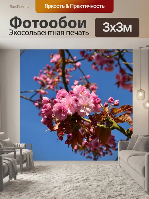 Фотообои Японская сакура