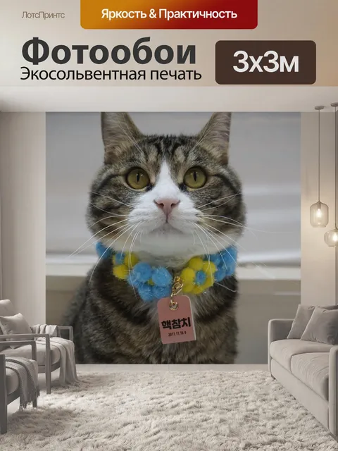 Фотообои Кошка