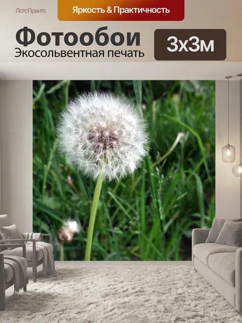Фотообои Одуванчик