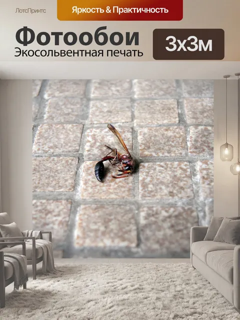 Фотообои Мертвые стрекоза